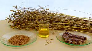 linseed-oil-benefits