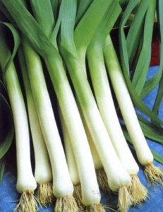 leeks