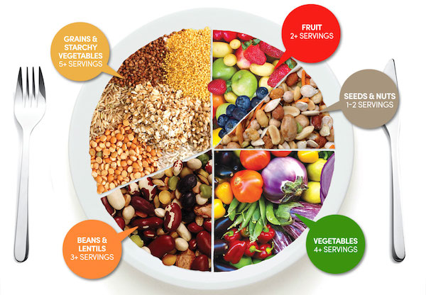 What is a plant-based diet?