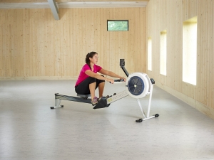 concept2-model-d-indoor-rowing-machine-with-pm5