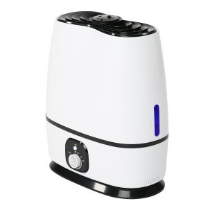 Everlasting Comfort Ultrasonic Humidifier