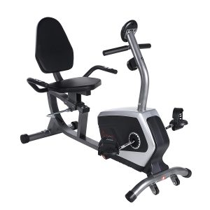 Sunny Health & Fitness Magnetic Recumbent Bike Exercise Bike