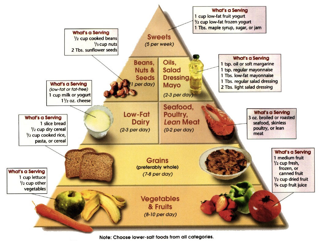 Daily Balanced Diet Chart