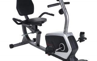 Sunny Health & Fitness Magnetic Recumbent Bike Exercise Bike